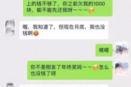 汉川为什么选择专业追讨公司来处理您的债务纠纷？